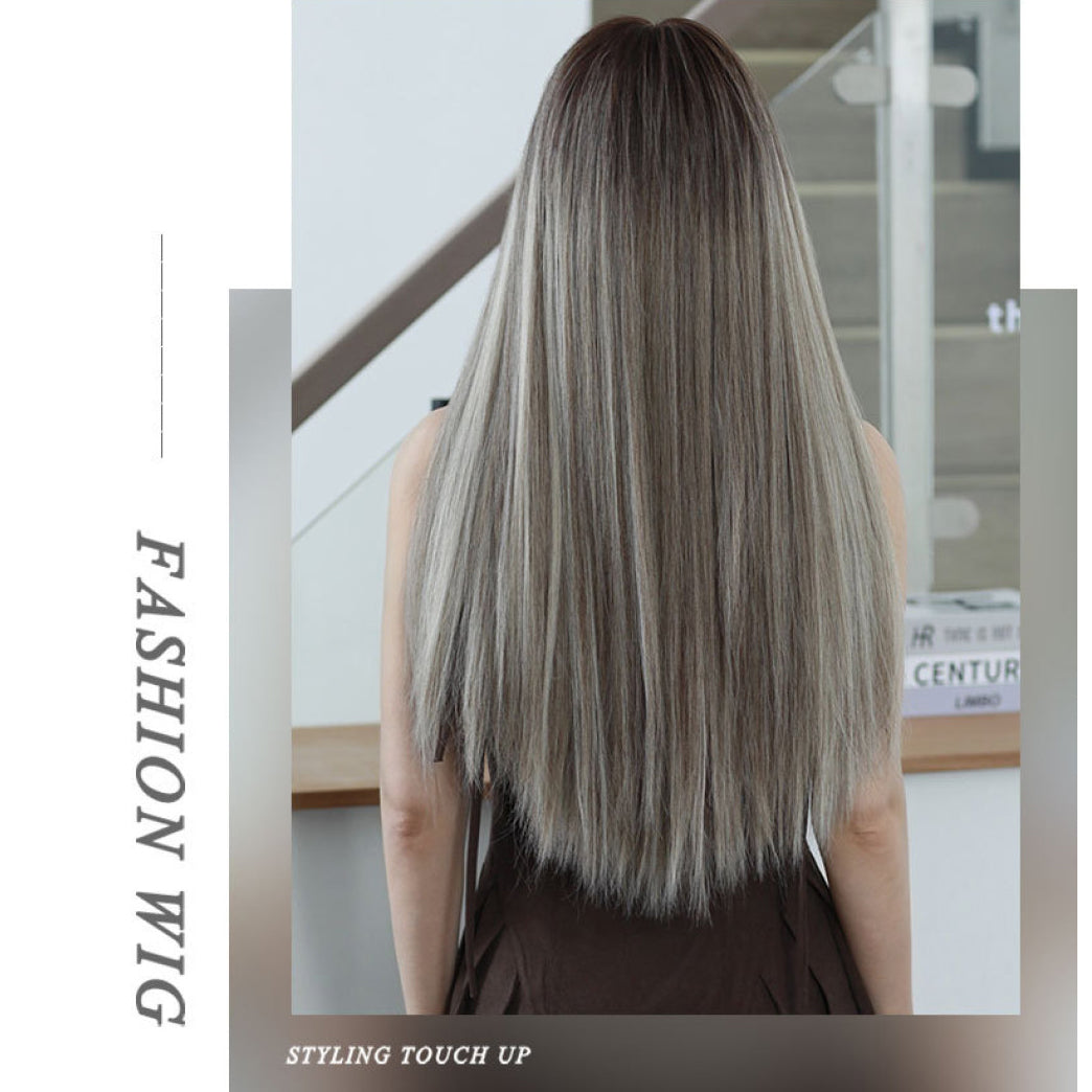 Gray Brown Long Straight Wig