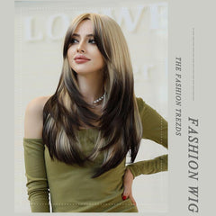 Brown Ombre Black Layered Long Wig